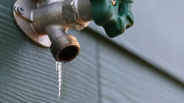 Best Clogged Drain Plumber  in Margaret, AL